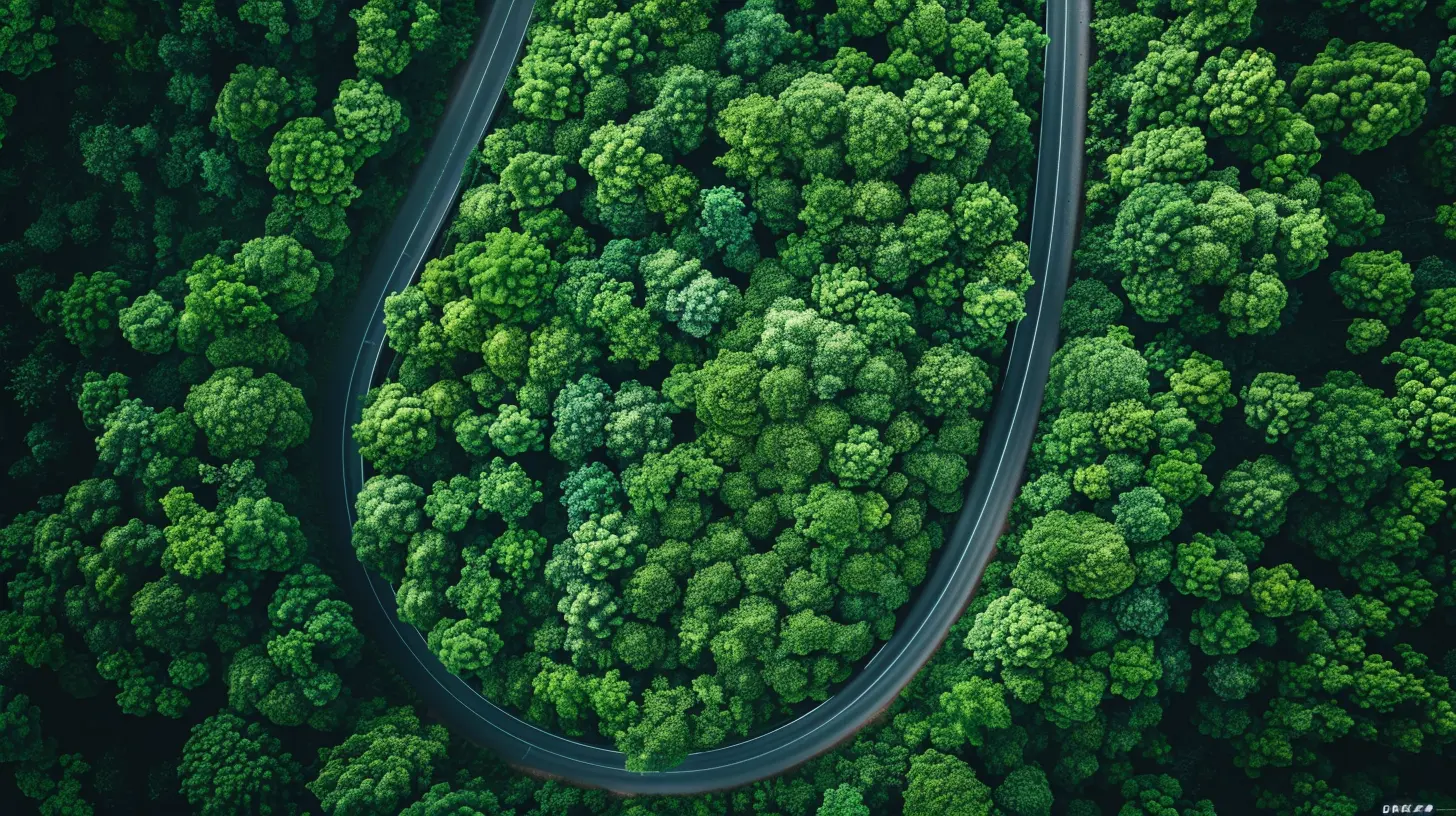 Exploring the Growing Trend of Green Bonds in Financial Markets