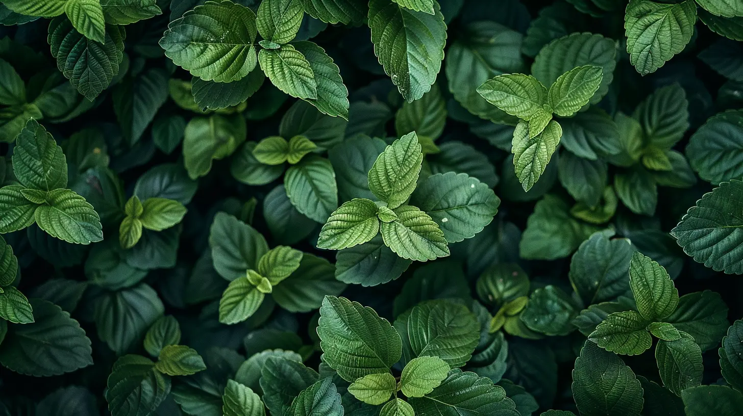 Exploring the Growing Trend of Green Bonds in Financial Markets