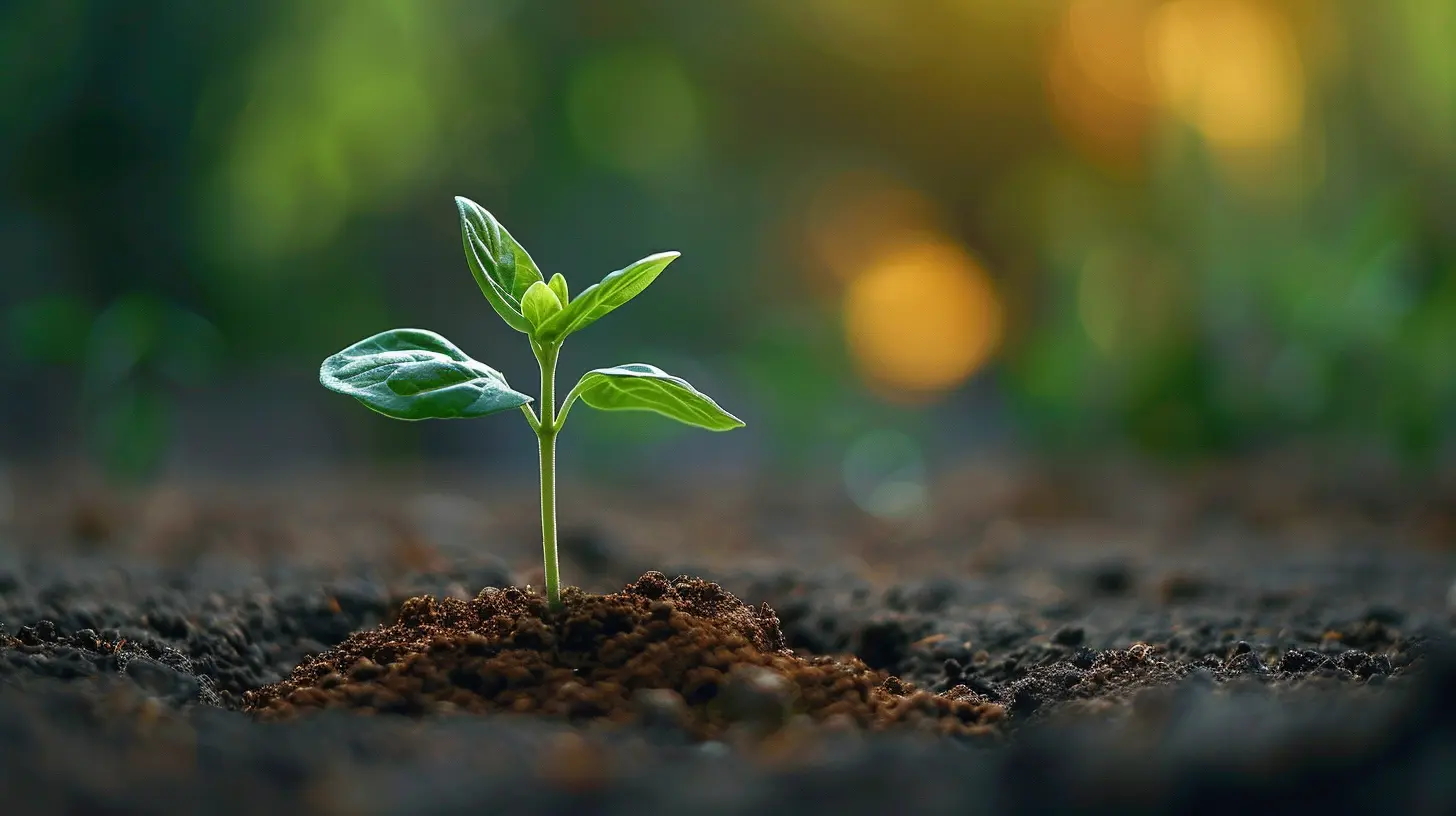 How to Make Budgeting a Habit You Enjoy