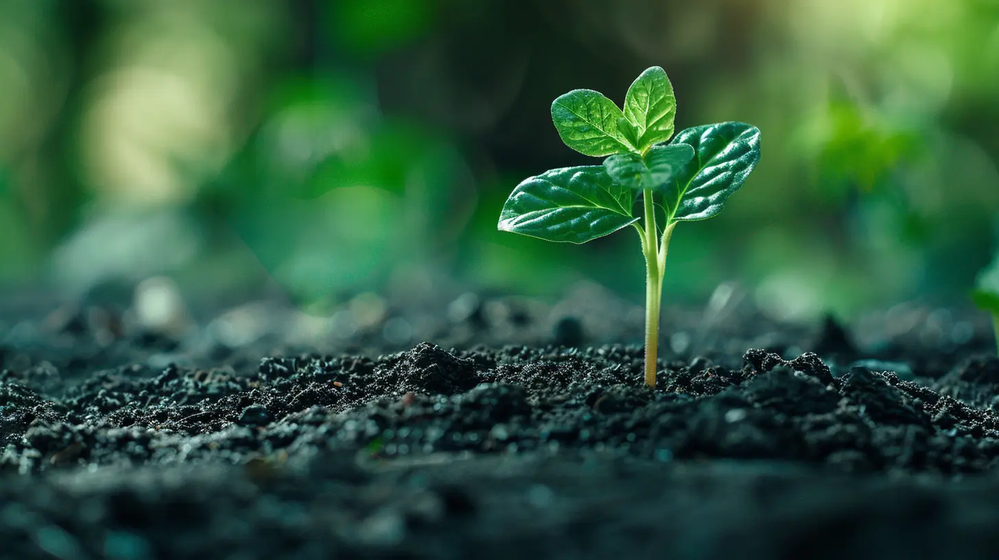 How to Manage Payroll for a Growing Business