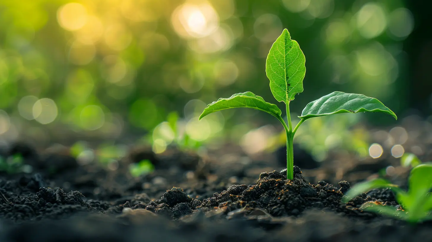 Leveraging Capital Gains to Build Wealth Through Reinvestments