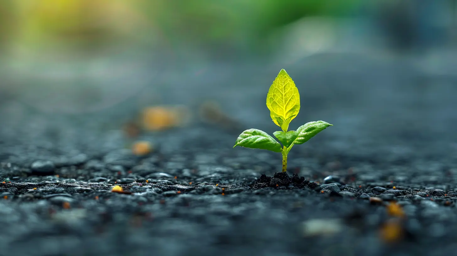 Mindful Financial Planning: Strategies to Build Confidence