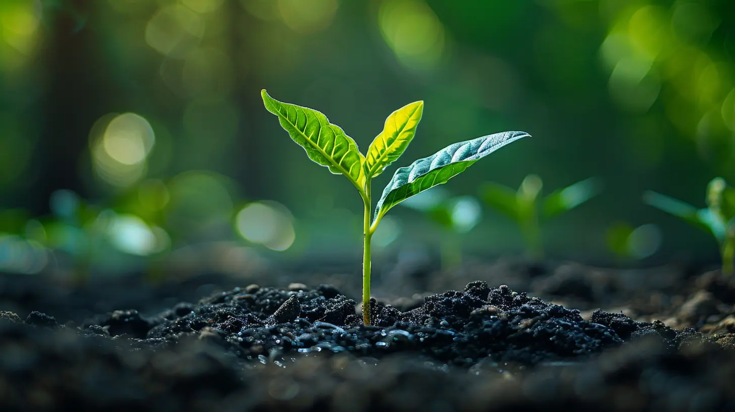 Minimizing Your Tax Exposure on Capital Gains