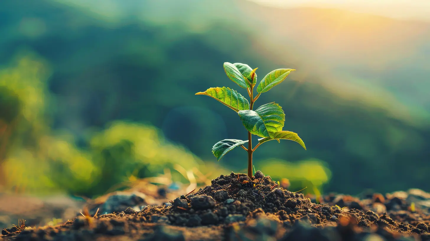 The Benefits of Working with a Financial Planner