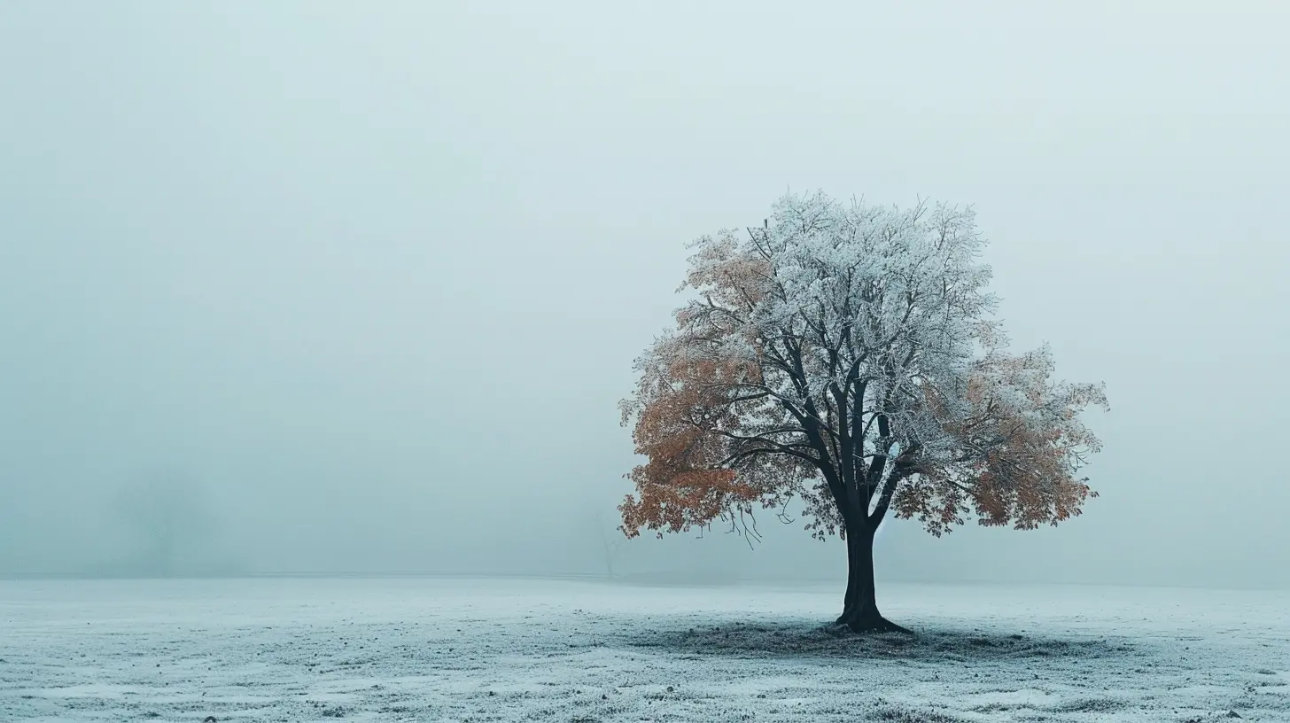 The Minimalist Approach to Money: Simplify and Save
