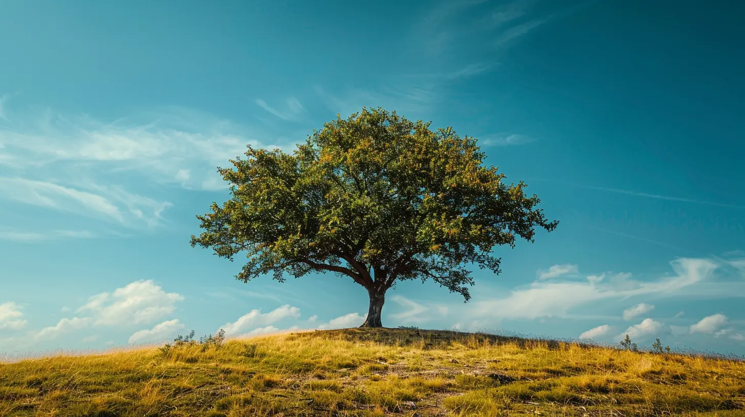 Using Trusts for Tax-Efficient Wealth Transfers