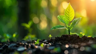 Effective Cash Flow Management for Nonprofits