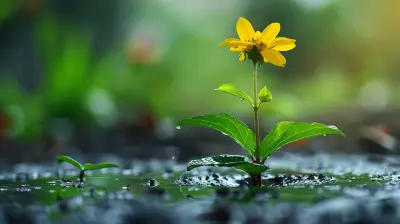 Essential Cash Flow Strategies for Small Businesses