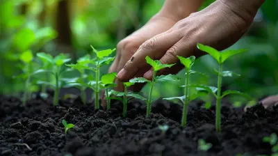 Exploring the Growing Trend of Green Bonds in Financial Markets