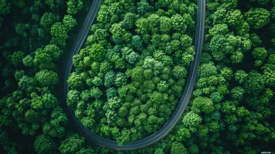 Exploring the Growing Trend of Green Bonds in Financial Markets