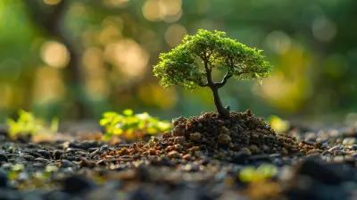 From Debt-Ridden to Debt-Free: A Personal Journey