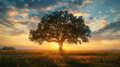 How Consistency in Investing Can Lead to Financial Freedom