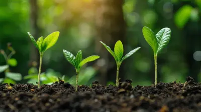 How to Choose the Right Funding Option for Your Business