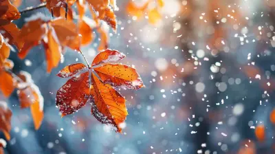 How to Handle Seasonal Variations in Your Business Finances
