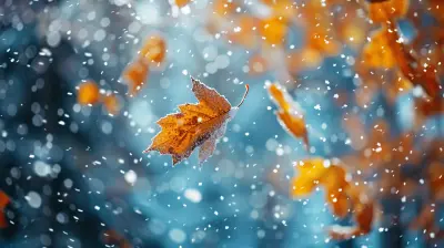 How to Handle Seasonal Variations in Your Business Finances