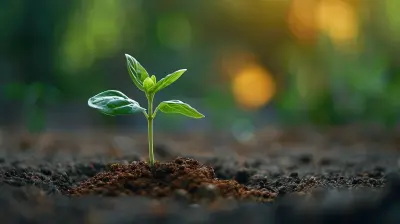 How to Make Budgeting a Habit You Enjoy