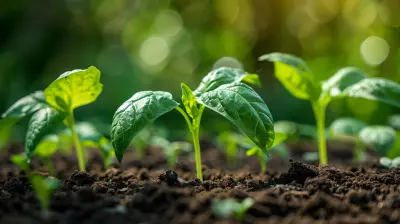 The Role of Asset Allocation in Growing Wealth