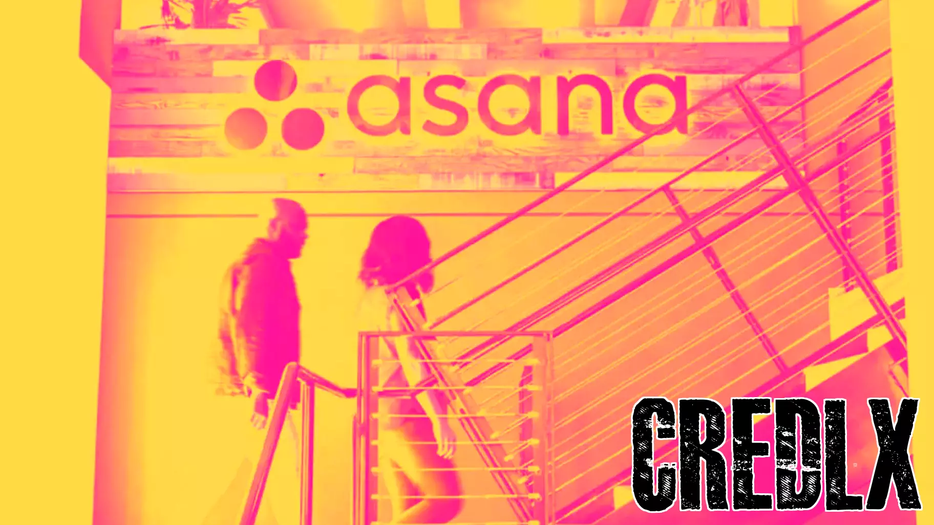 Asana's Shares Take a Significant Hit Following Disappointing Quarter