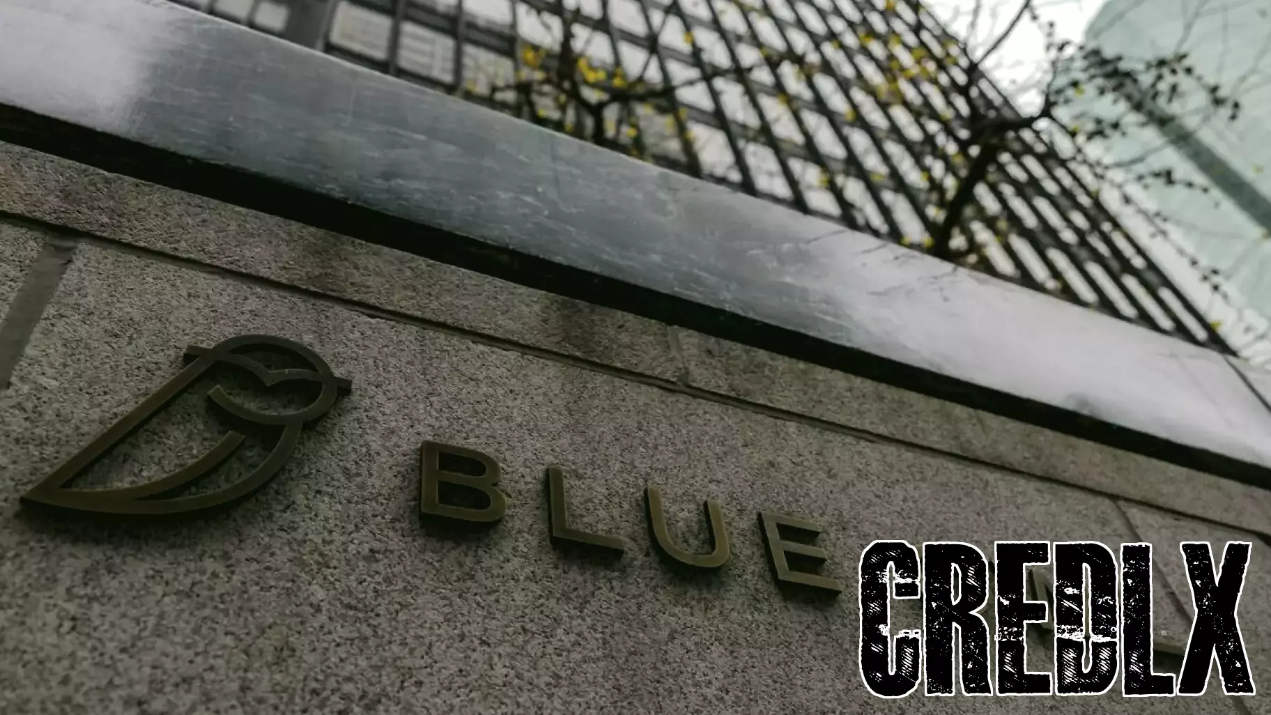 CD&R and TPG Seek Blue Owl's Support for Covetrus Debt Financing