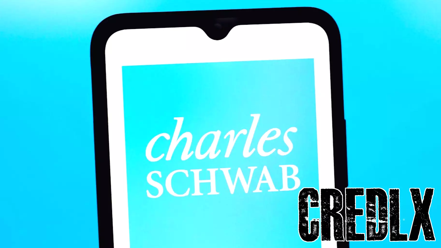 Insights from Charles Schwab's New CEO on Market Trends