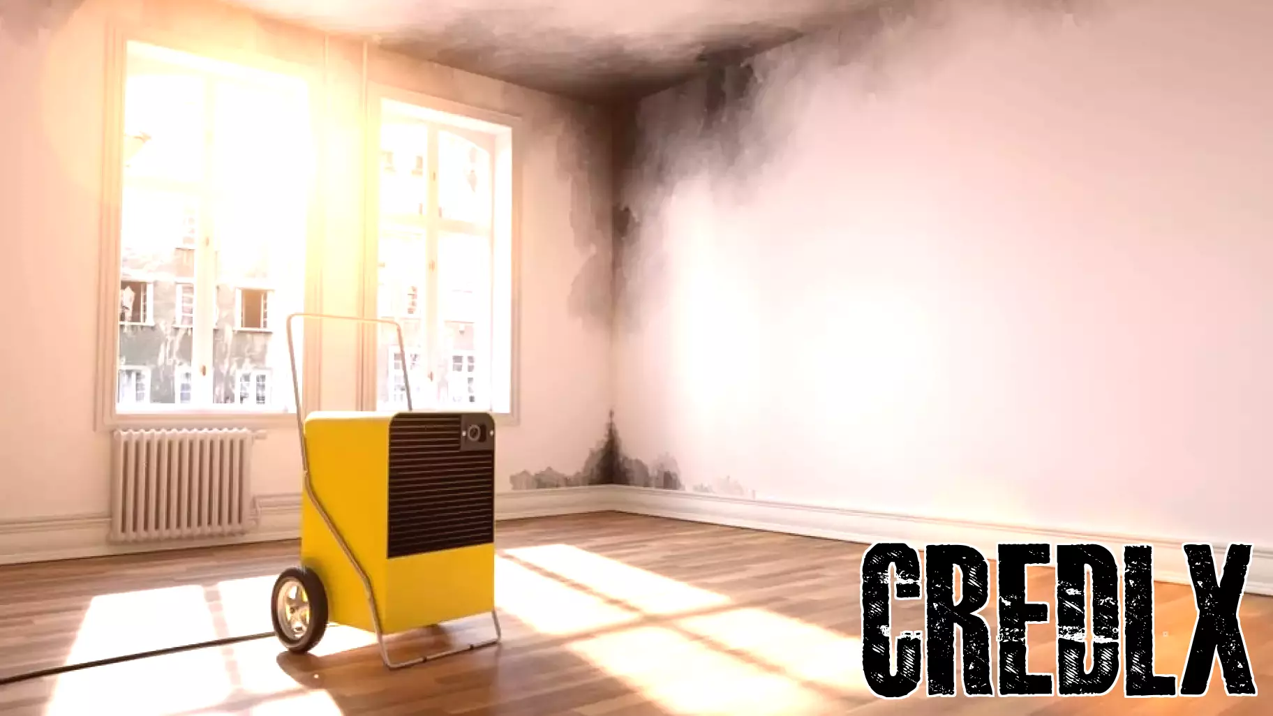 'It's On You,' 'Ramsey Show' Host Tells Retired Military Landlord Facing $20K In Damage After Letting His Mom Rent His House