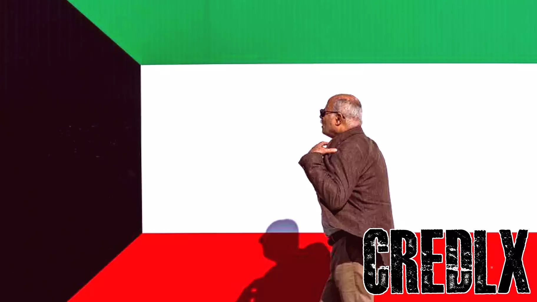 Kuwait arrests 24 for financing terrorist entities, report claims former lawmakers among detained