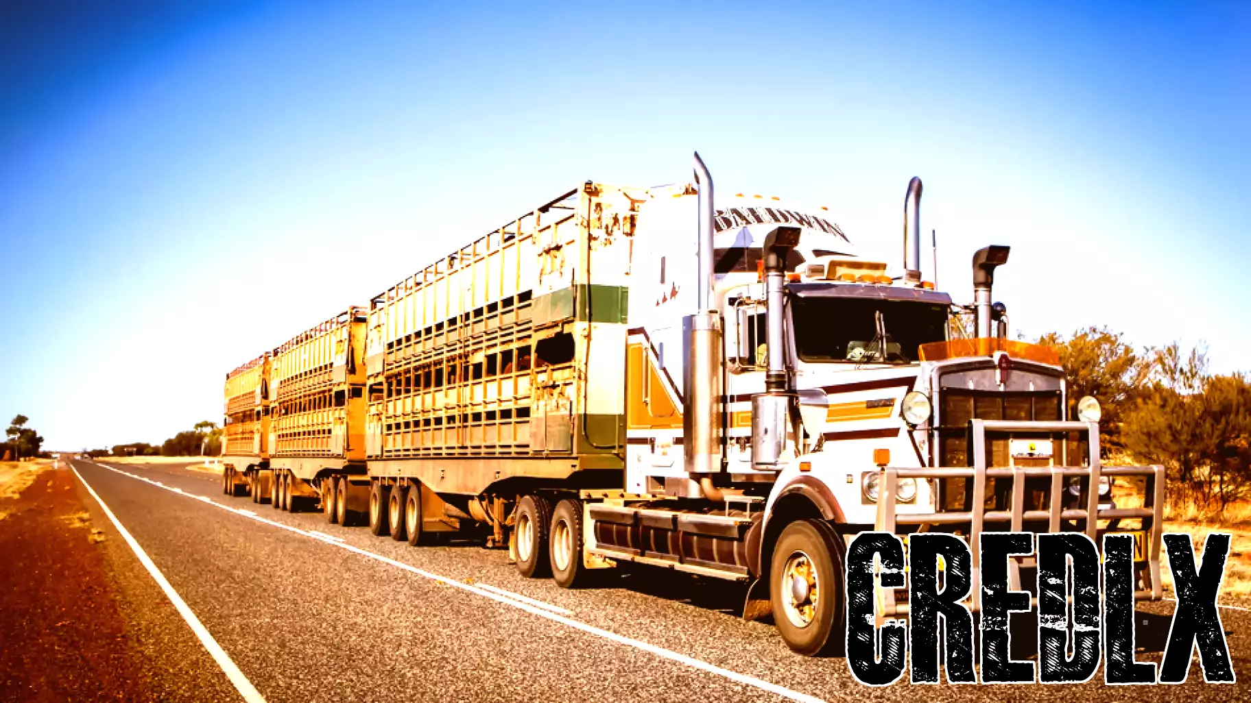 Old Dominion Freight Line, Inc. (ODFL): A Bull Case Theory