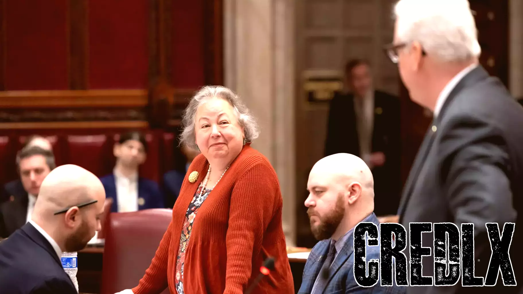 Senate Finance Chair Liz Krueger recovering after stroke