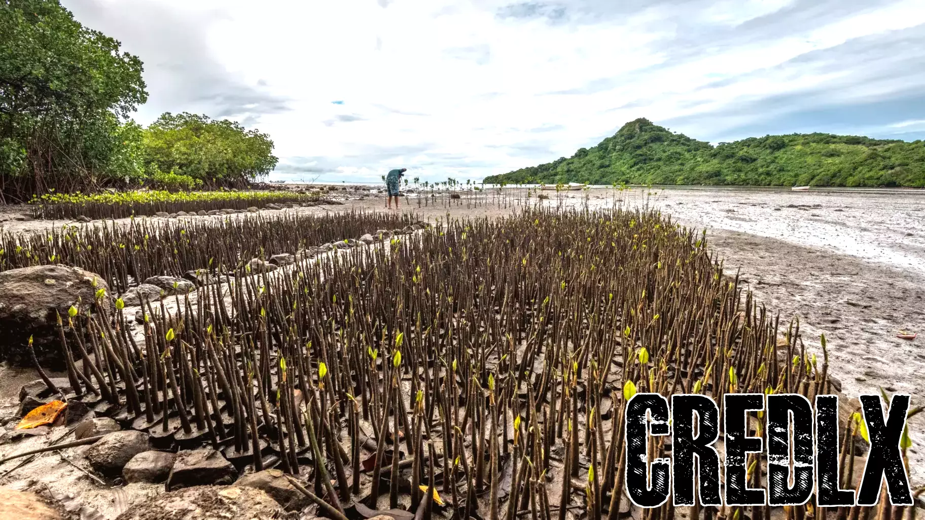 The Critical Role of Multilateral Development Banks in Adaptation Finance at COP30