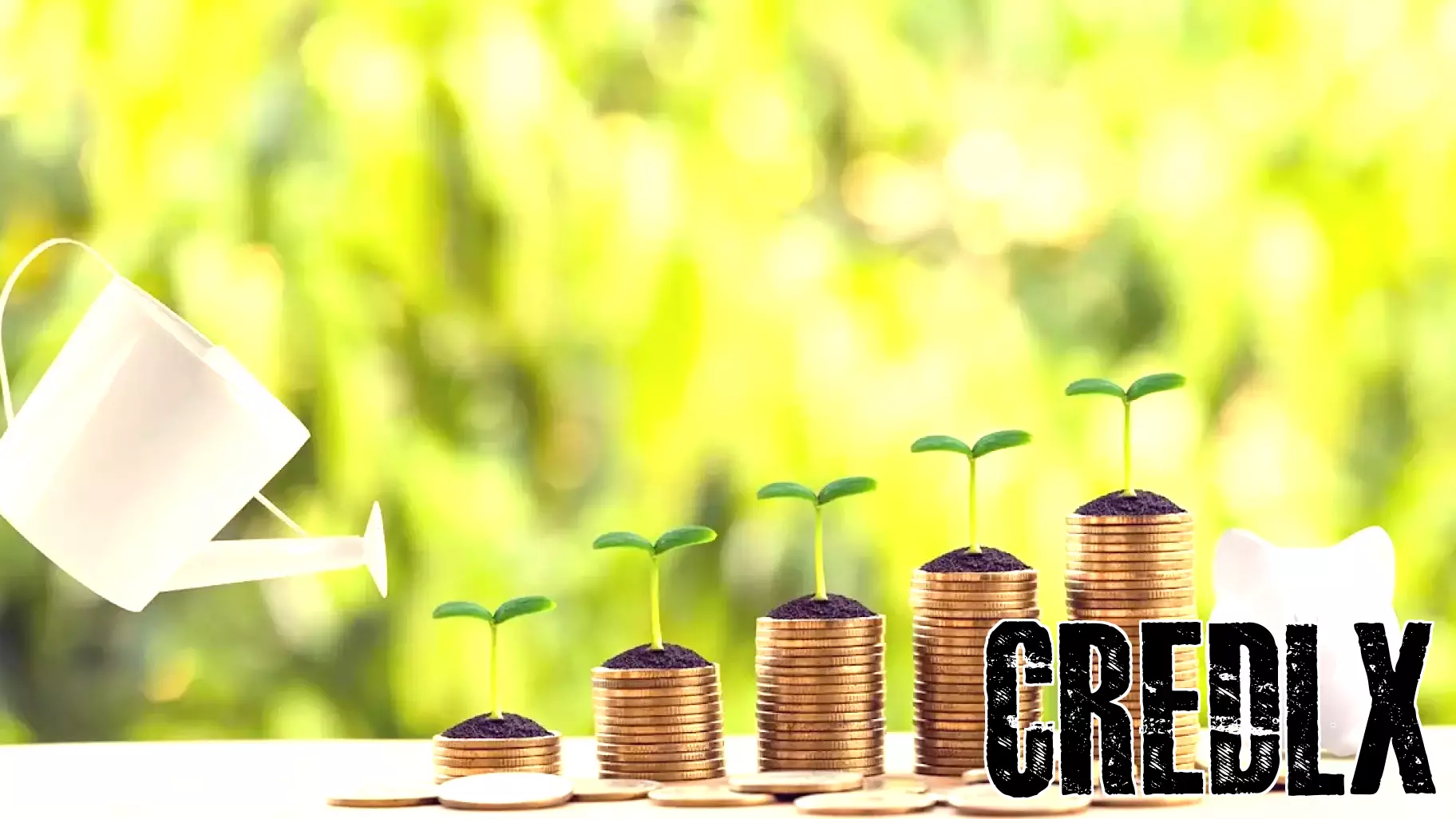 Three Dividend Stocks That Can Hold Up Through Market Swings