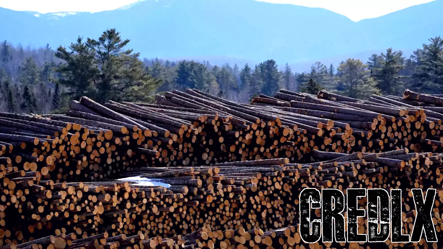 Trump Implements New Tariffs on Timber and Furniture