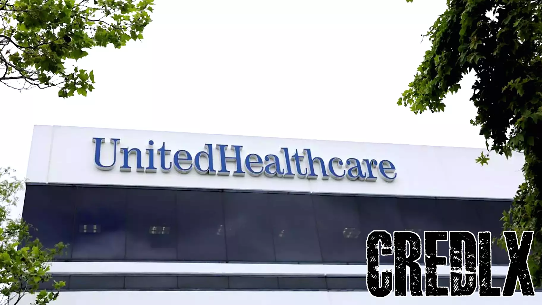UnitedHealth Faces Dramatic Stock Decline Following Profit Outlook Cut