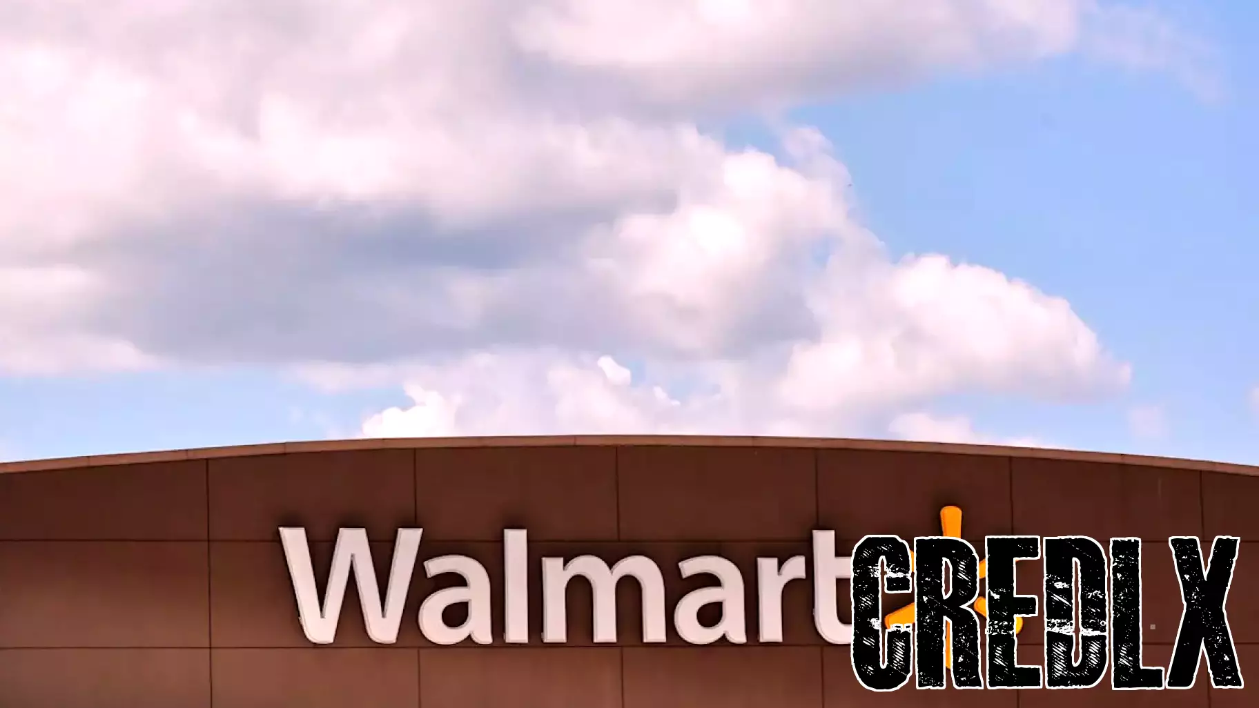 Walmart CFO Highlights Growing Affordability Crisis for Consumers