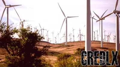 Critics Strengthen Oversight Efforts with New Finance Committee