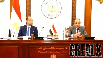 Egypt’s investment risk rating falls to lowest level since 2014, finance minister says