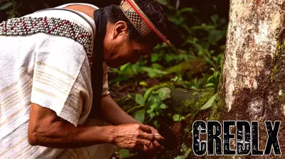 Innovative Funding Mechanism for Ecological Conservation and Social Justice