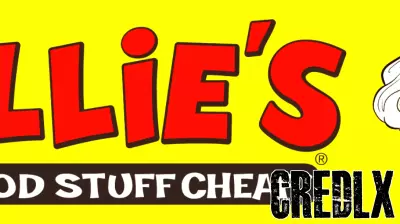 Ollie's Bargain Outlet Reports Strong Q4 and Fiscal Year 2024 Results