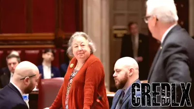 Senate Finance Chair Liz Krueger recovering after stroke