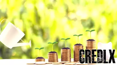 Three Dividend Stocks That Can Hold Up Through Market Swings