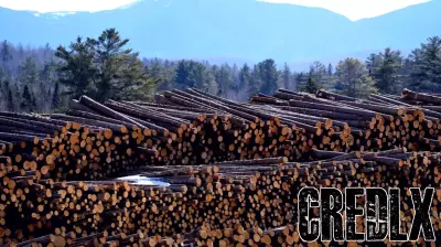 Trump Implements New Tariffs on Timber and Furniture